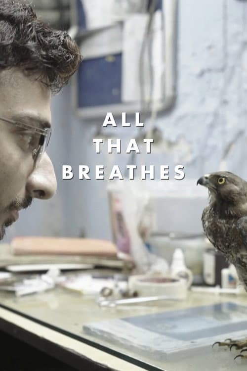 All That Breathes still 8