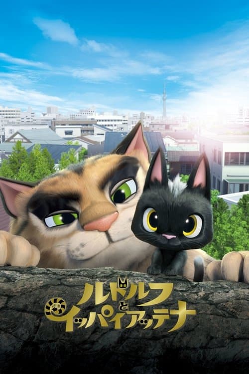 Rudolf the Black Cat still 8