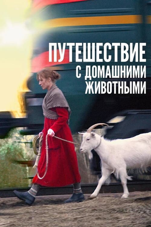 Travelling with Pets still 1