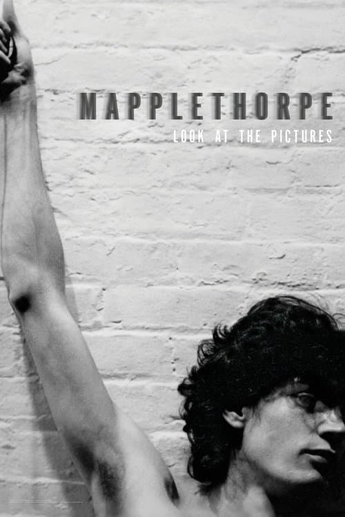 Mapplethorpe: Look at the Pictures still 5