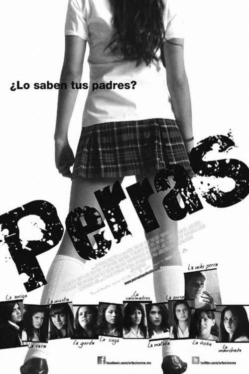 Perras still 7