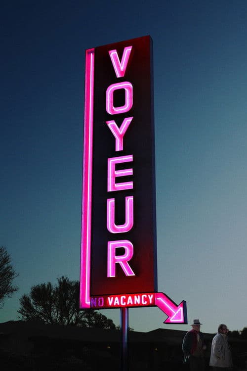 Voyeur still 3