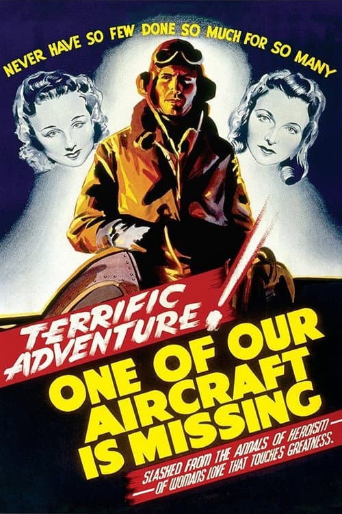 One of Our Aircraft Is Missing still 8