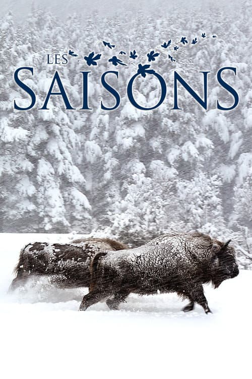 Seasons still 8