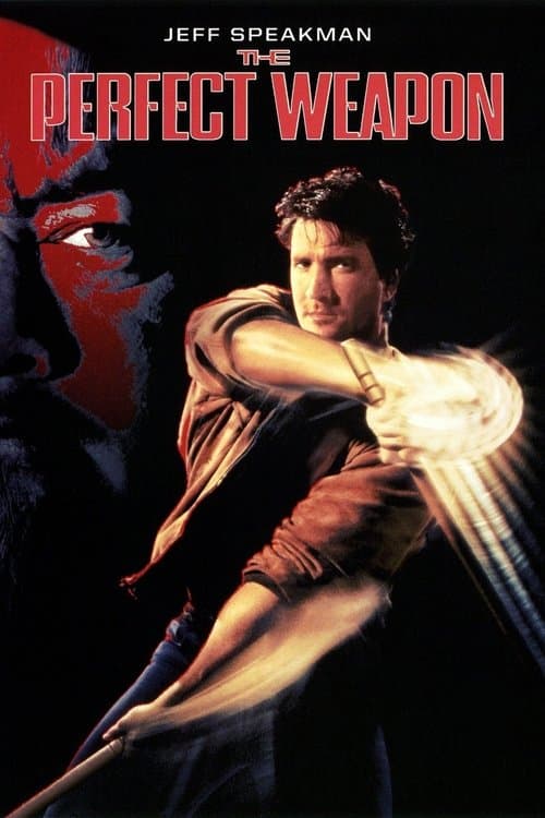 The Perfect Weapon still 6