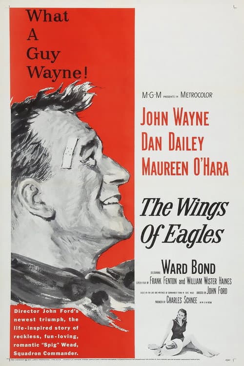 The Wings of Eagles still 6