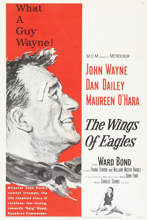 The Wings of Eagles still 8