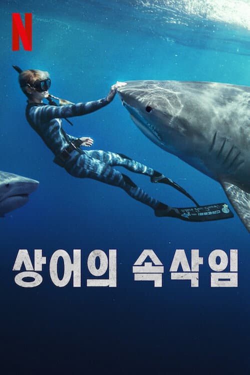 Shark Whisperer still 5