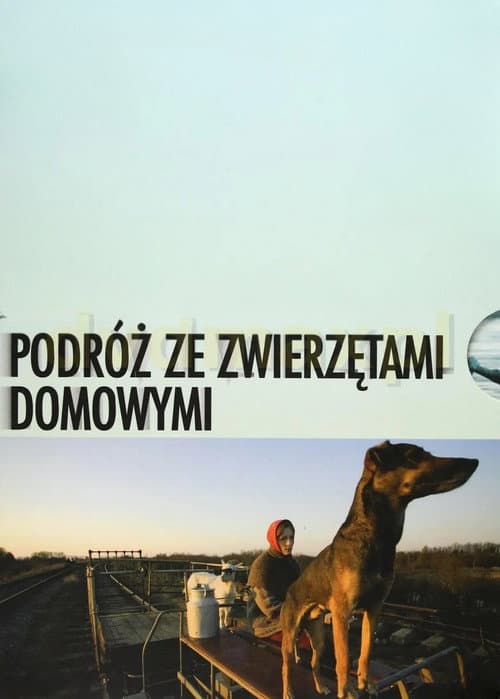 Travelling with Pets still 3