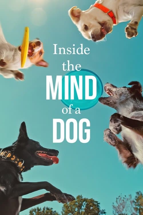 Inside the Mind of a Dog still 5