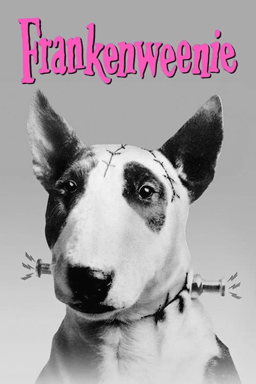 Frankenweenie still 6