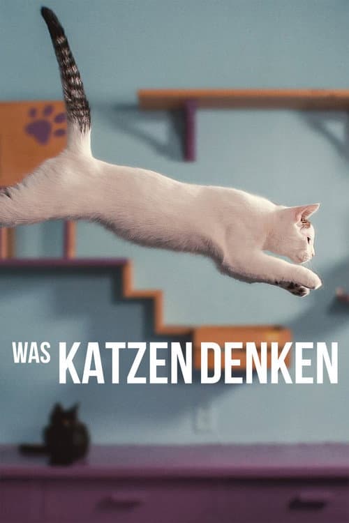 Inside the Mind of a Cat still 8