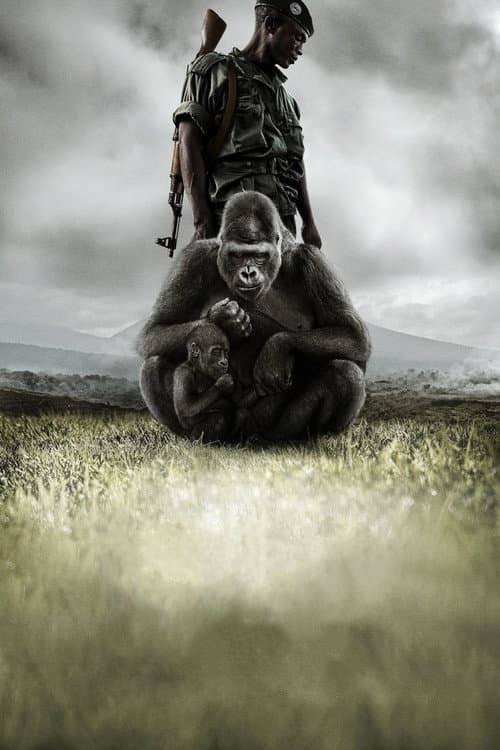 Virunga still 5