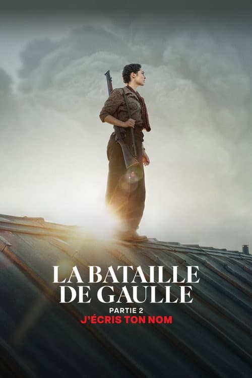 De Gaulle: Liberté still 7
