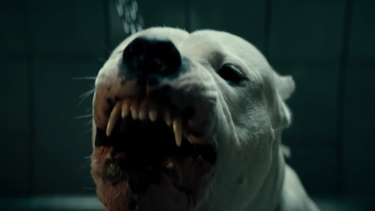 Dogman still 3