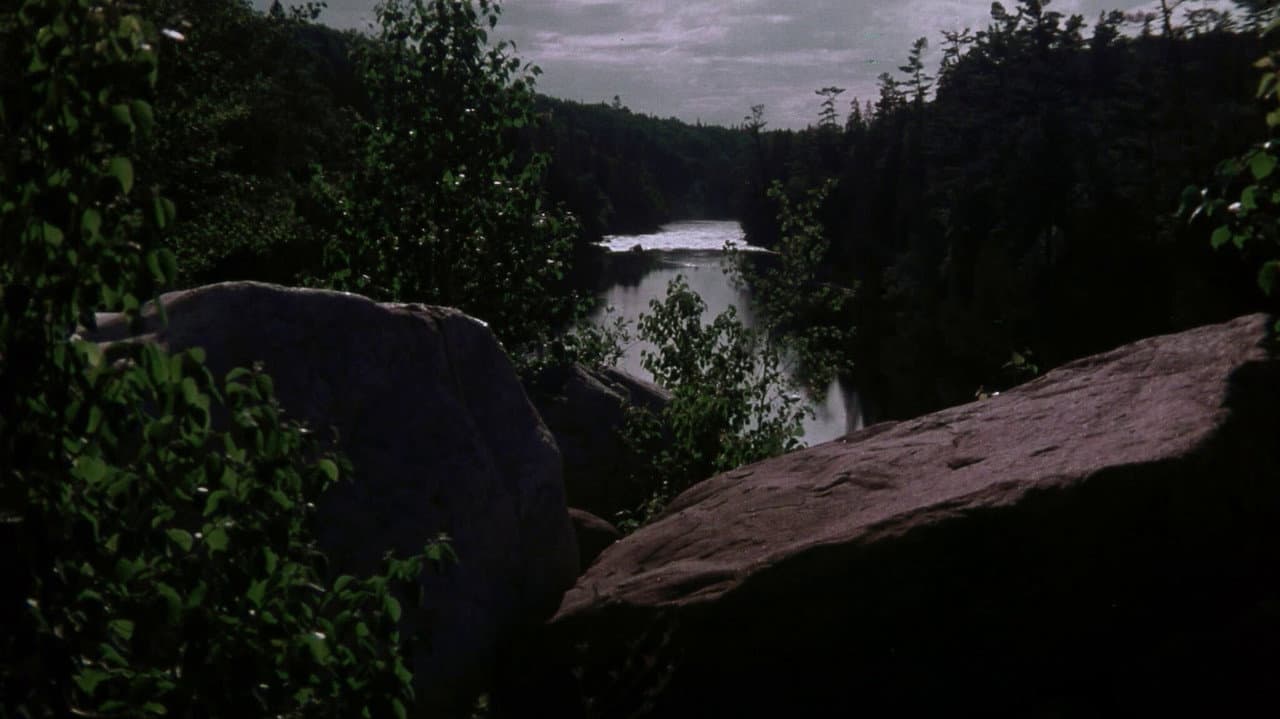 Rituals still 8