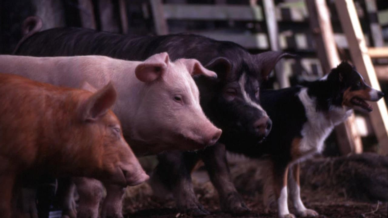 Animal Farm still 3