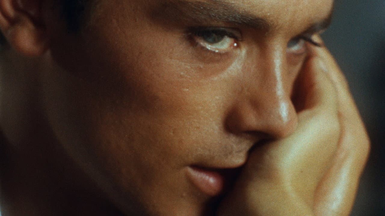 Purple Noon still 6