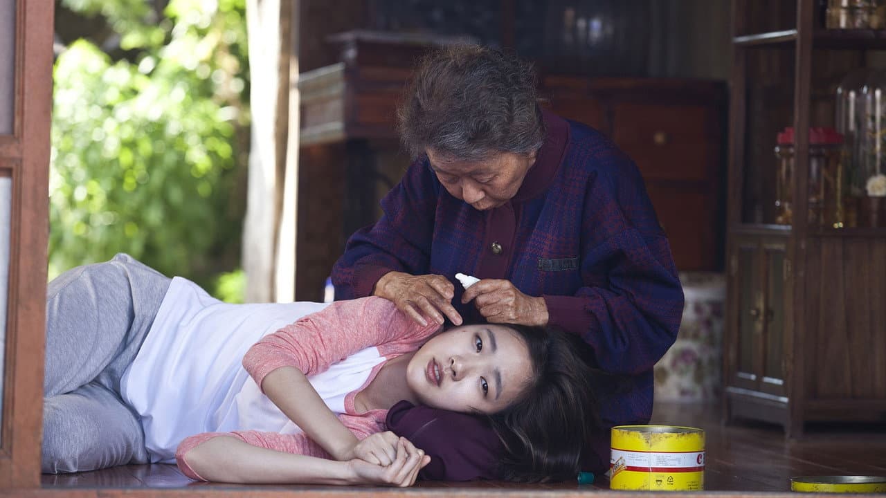 Canola still 2