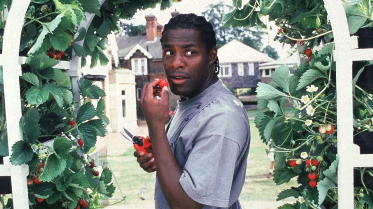 Greenfingers still 8
