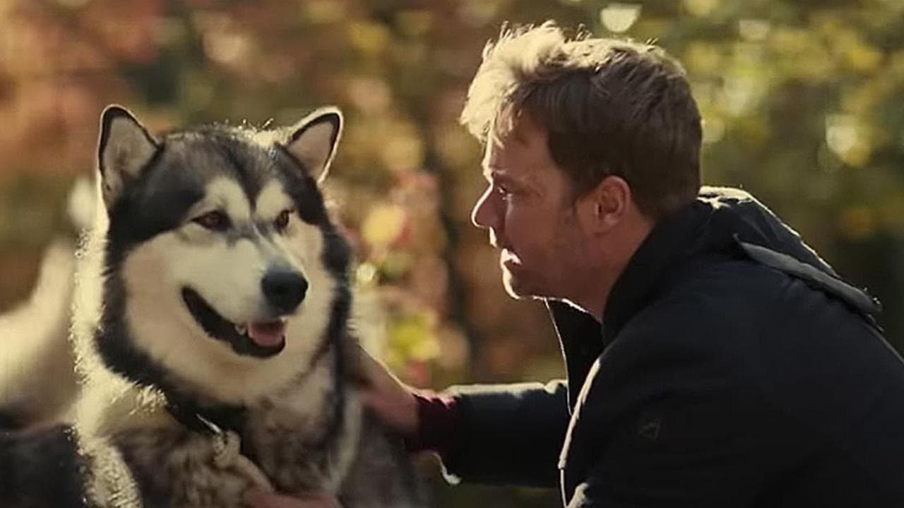 Hero Dog: The Journey Home still 1