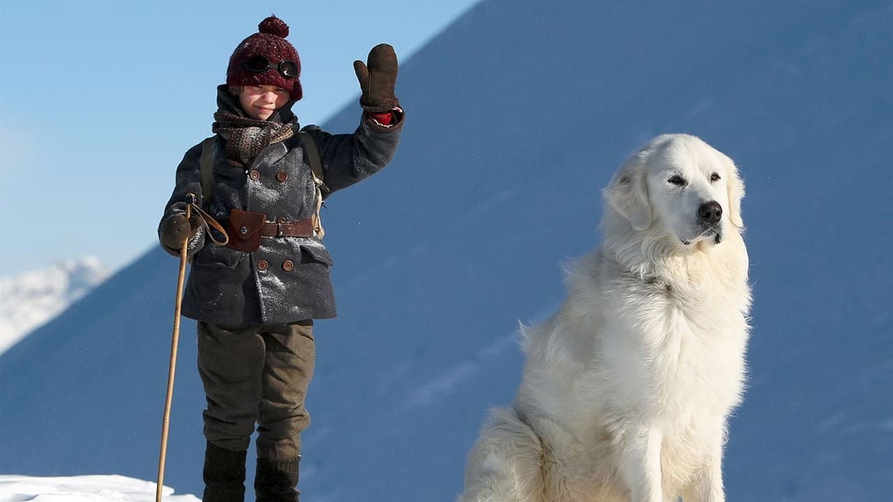 Belle and Sebastian still 7