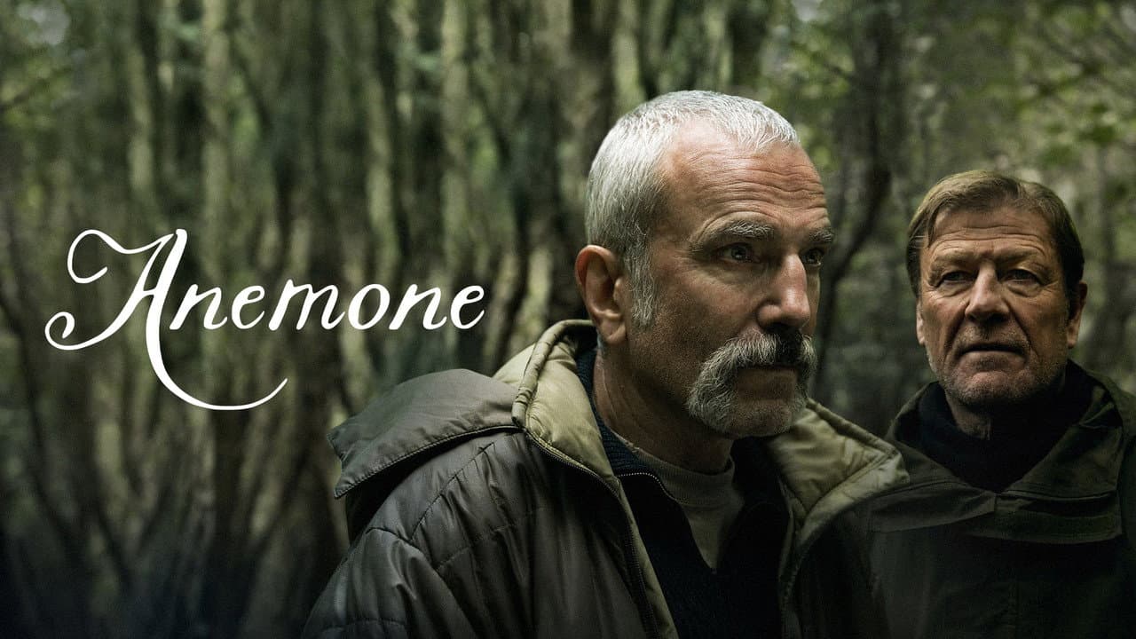 Anemone still 5