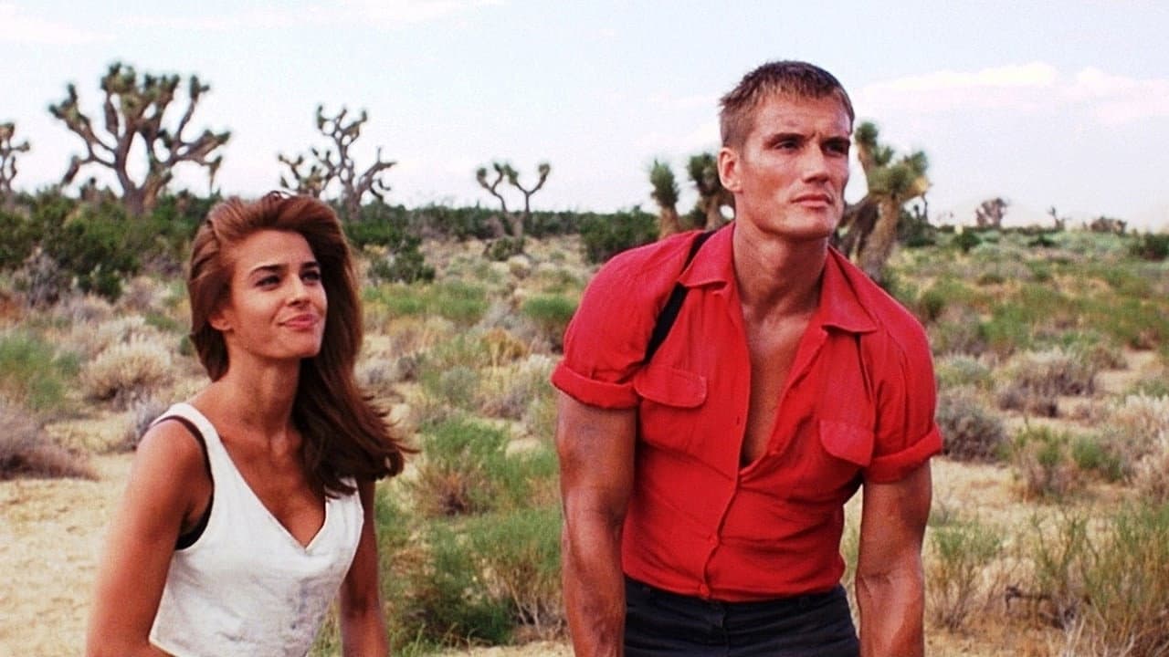 Joshua Tree still 5