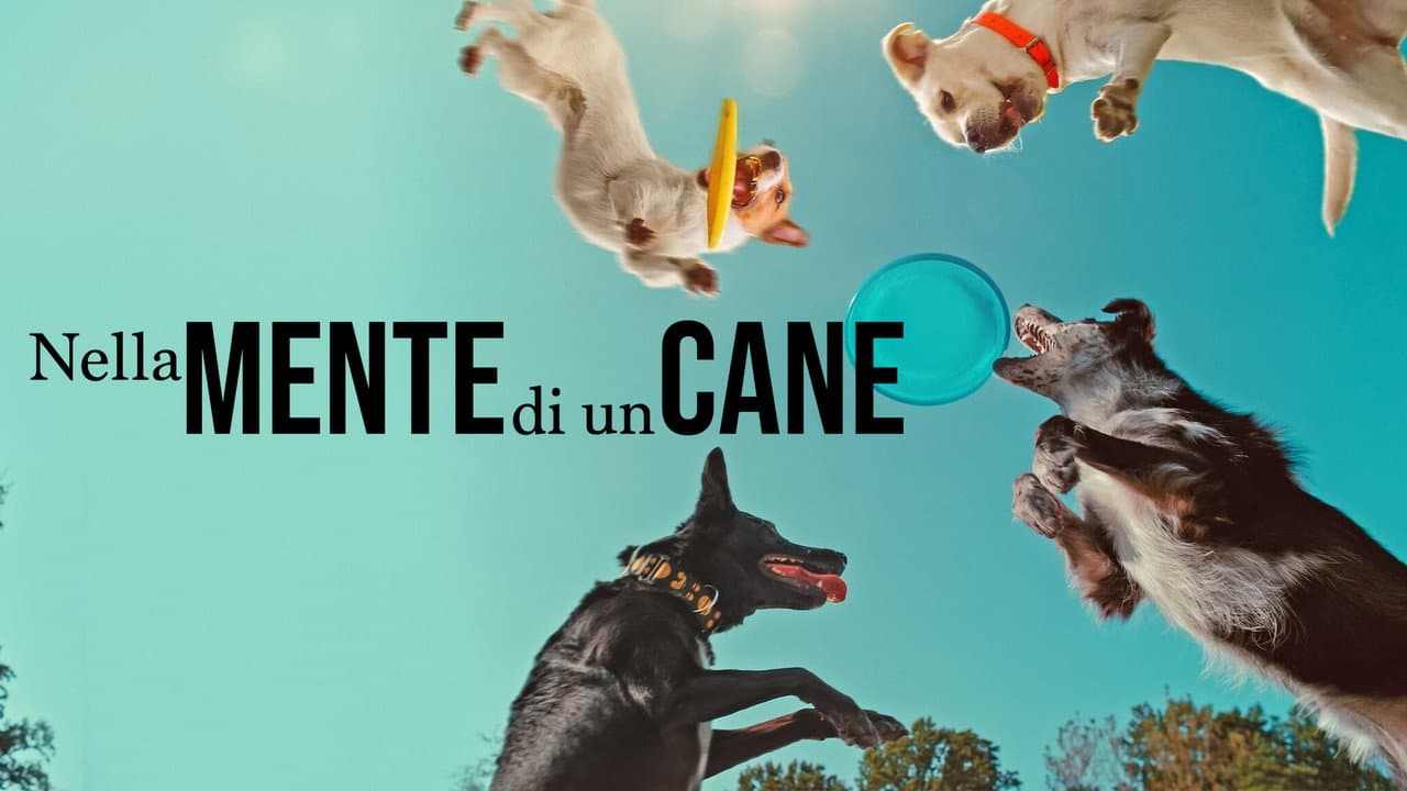 Inside the Mind of a Dog still 4