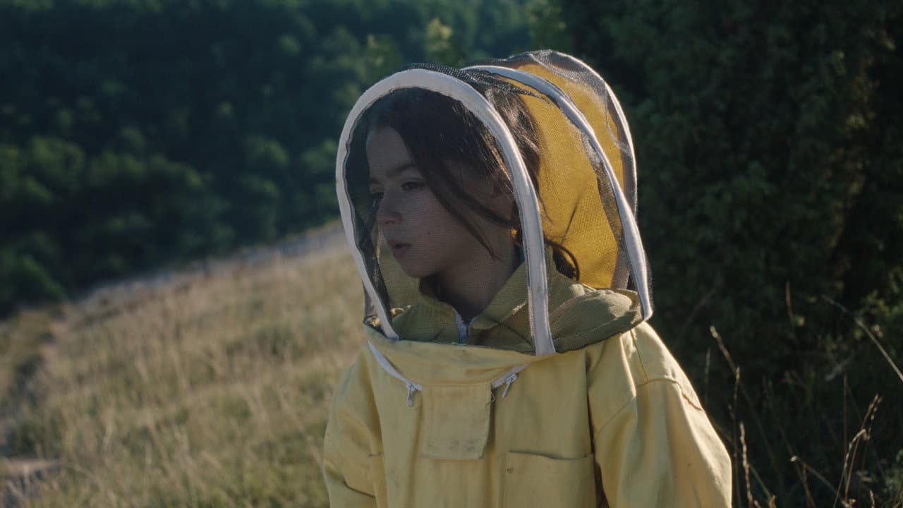 20,000 Species of Bees still 1