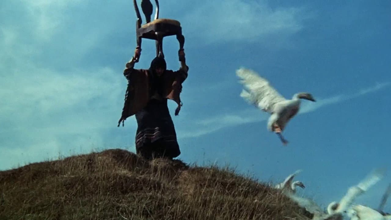 The Twelve Chairs still 5