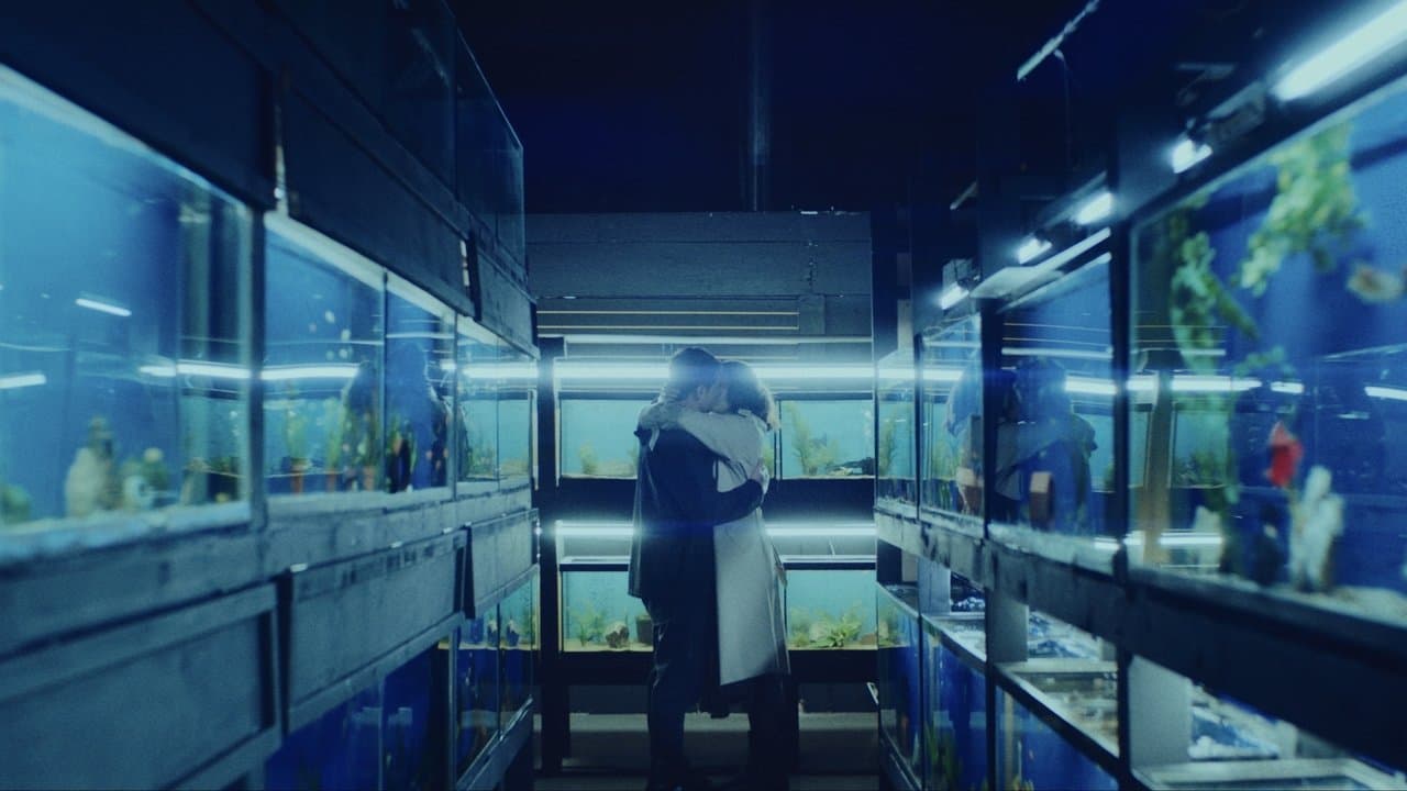 Little Fish still 1