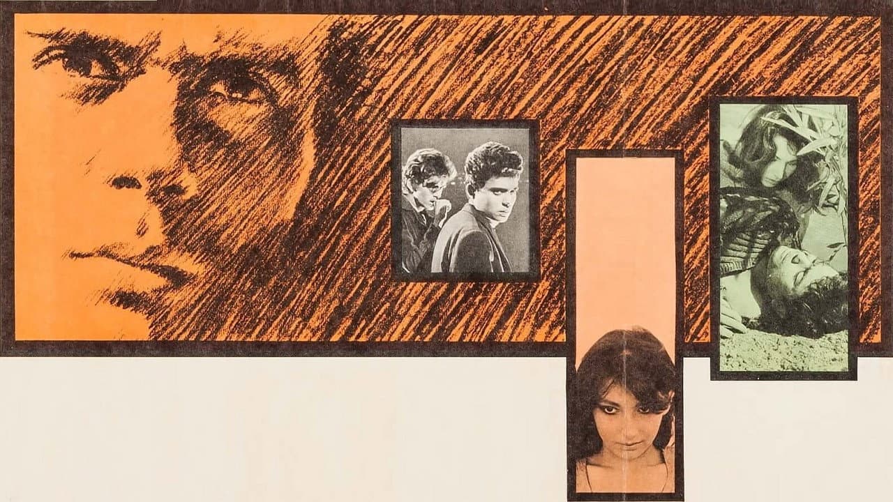 America America still 6