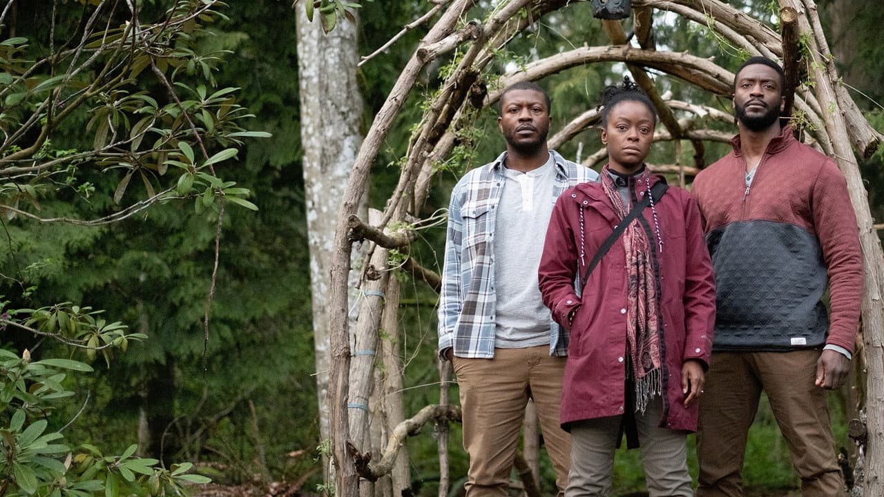 Parallel still 8
