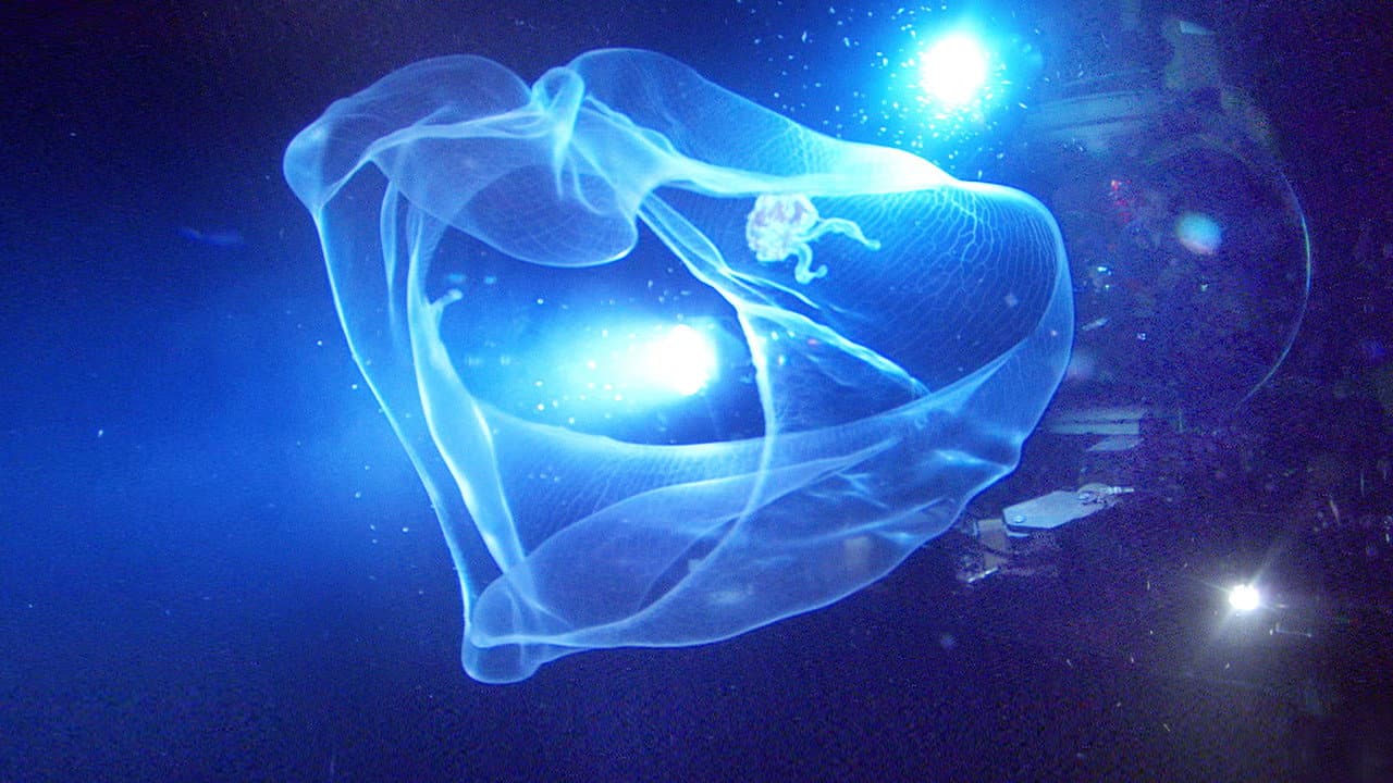Aliens of the Deep still 1