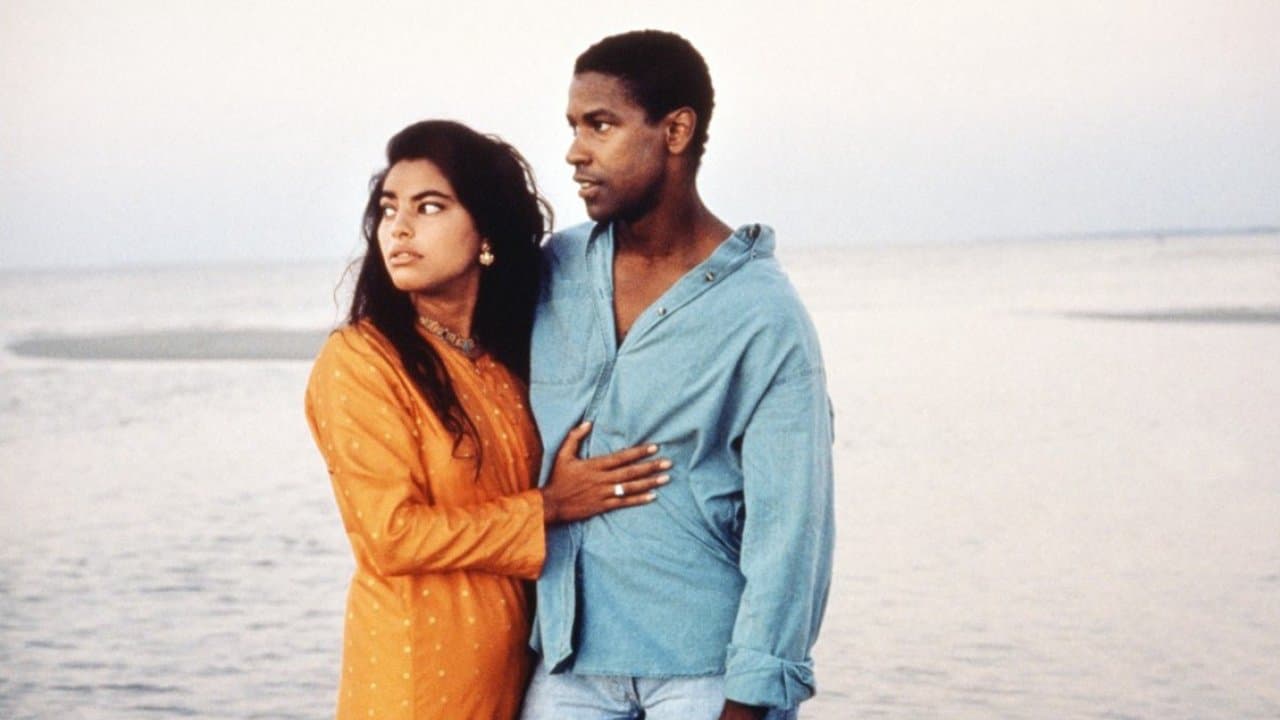 Mississippi Masala still 1
