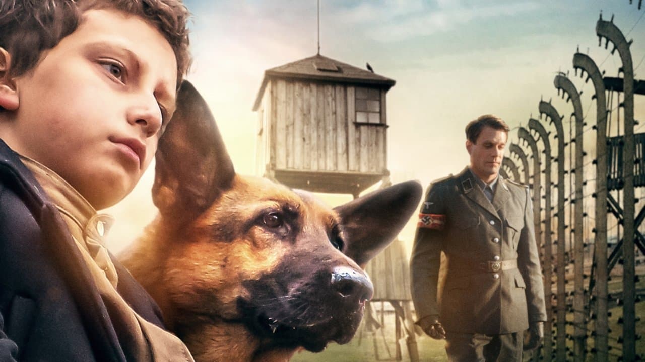 Shepherd: The Story of a Jewish Dog still 3