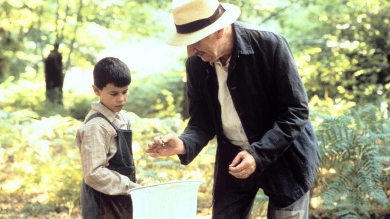 Butterfly still 1