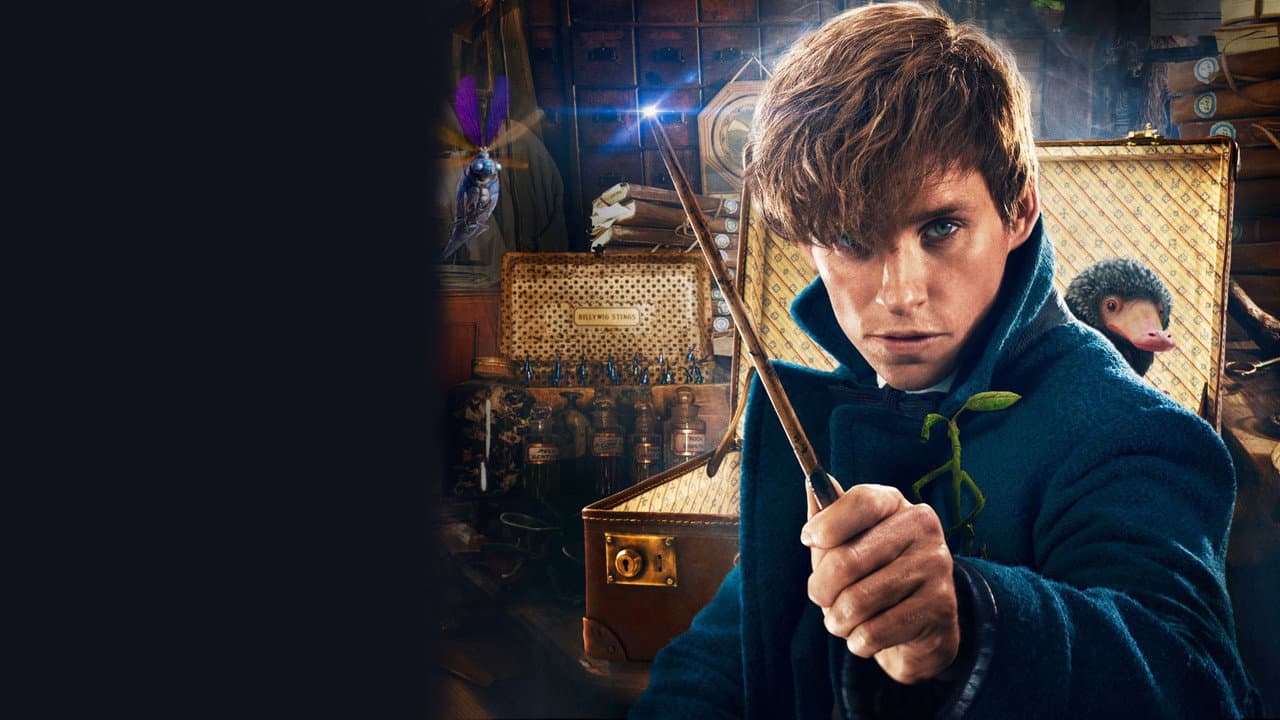 Fantastic Beasts and Where to Find Them still 5