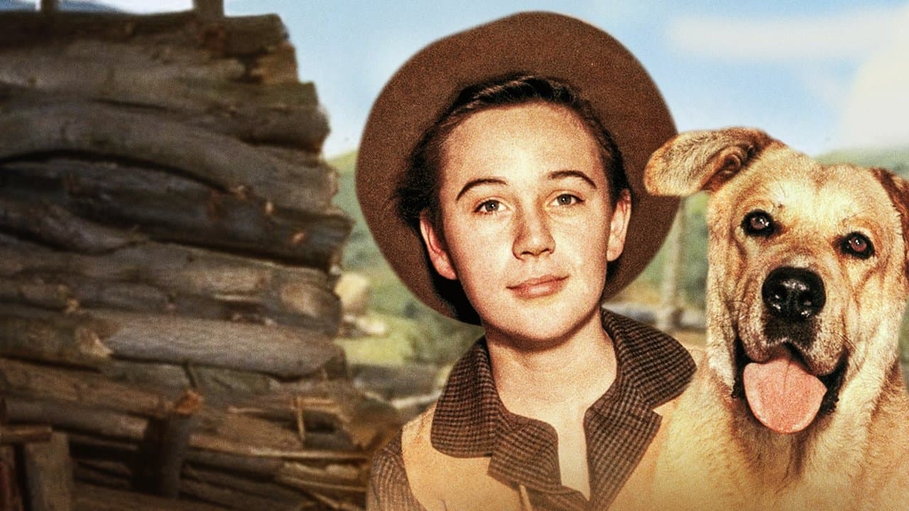 Old Yeller still 1