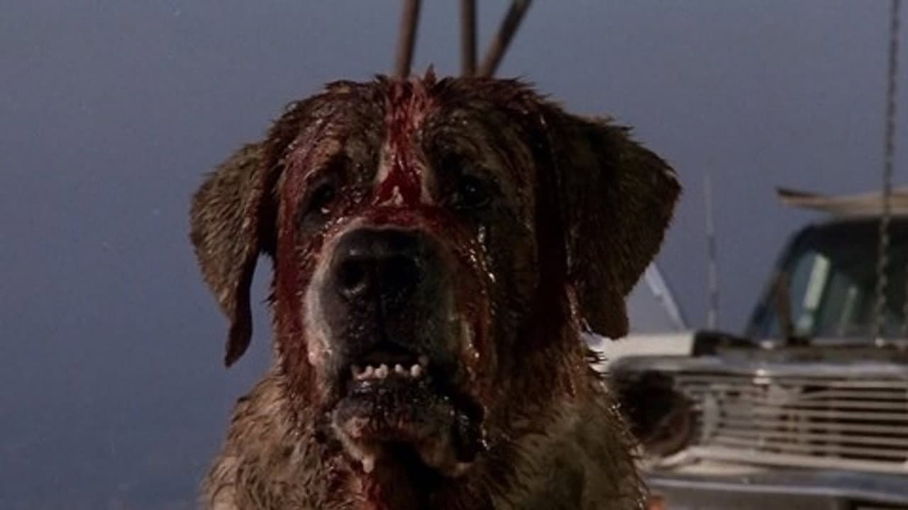 Cujo still 8
