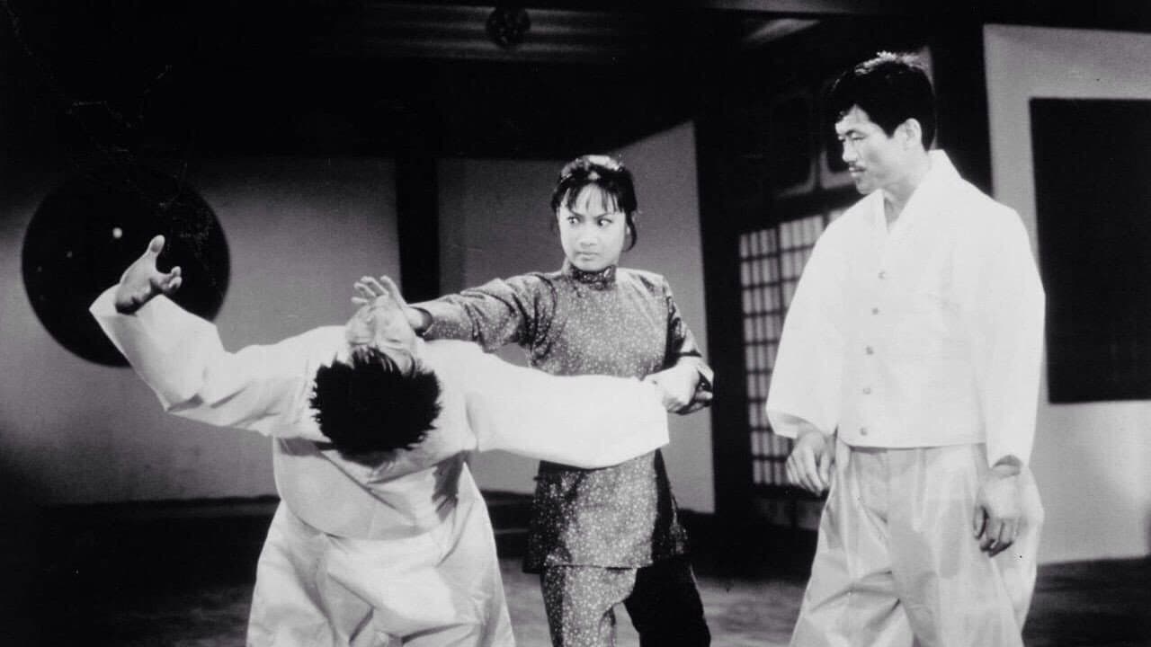 Hapkido still 7
