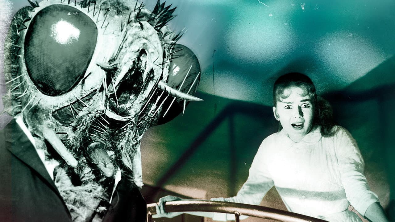Return of the Fly still 2
