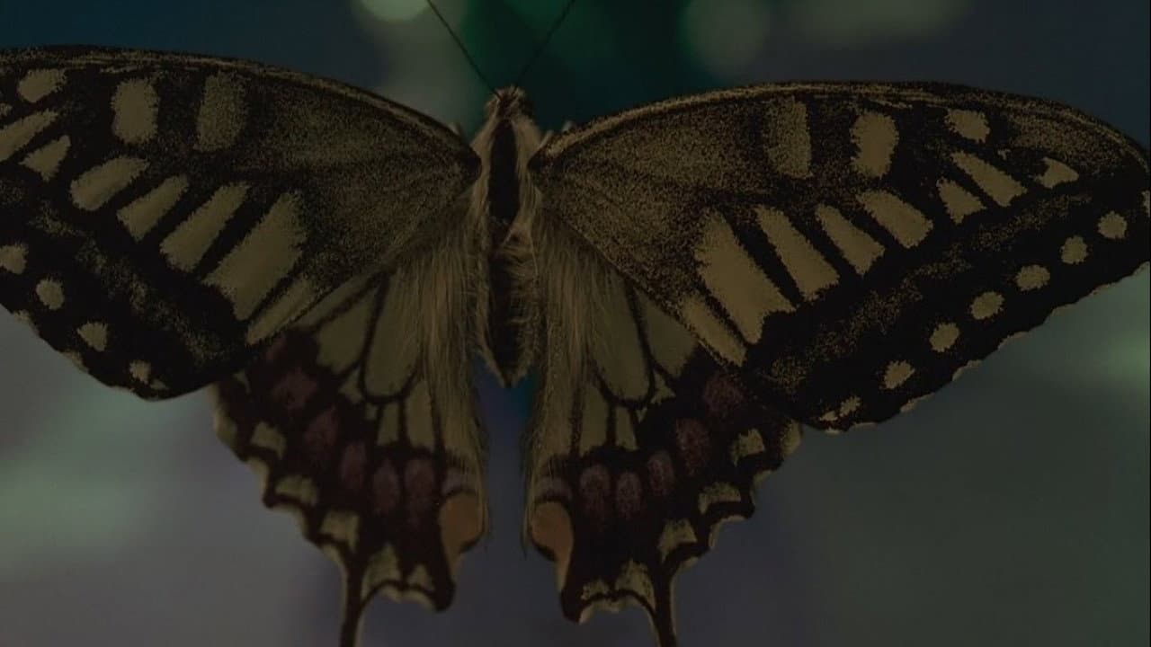 Swallowtail Butterfly still 3