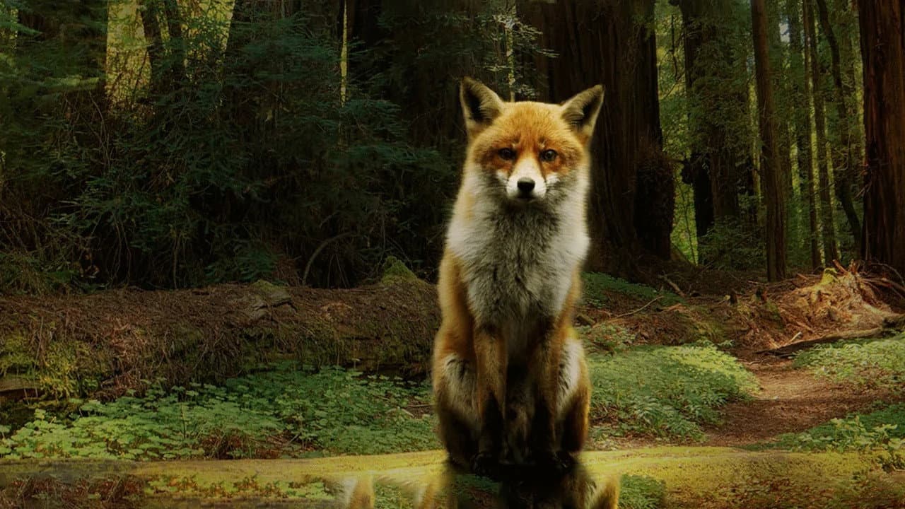 Seasons still 6