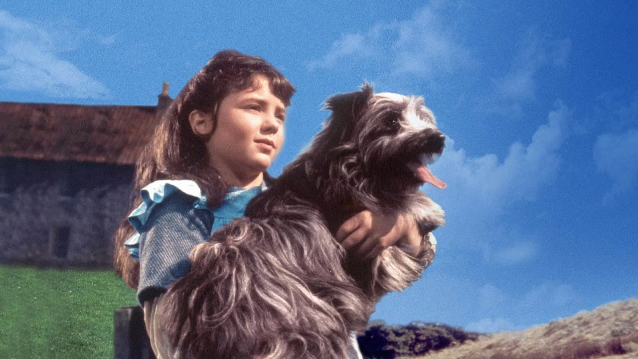 Greyfriars Bobby still 5