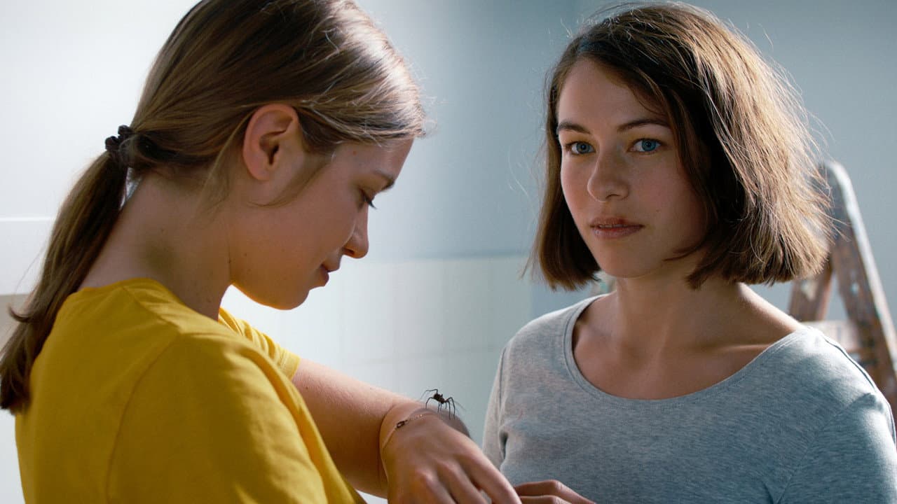 The Girl and the Spider still 6