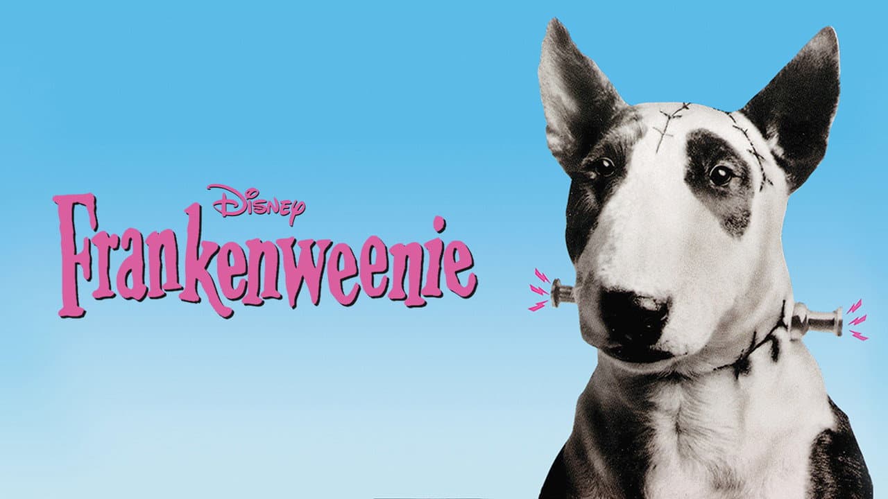 Frankenweenie still 3