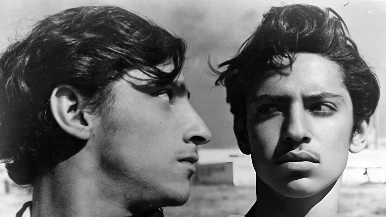 The Young and the Damned still 2