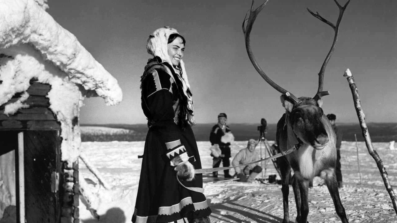 The White Reindeer still 1